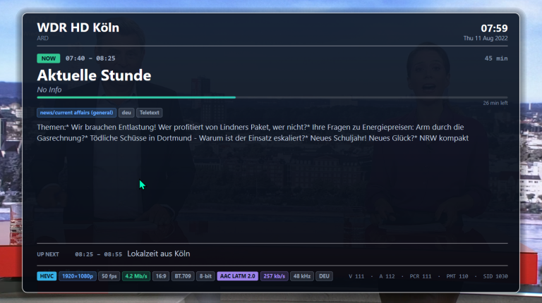 DVBAnalyzer: Media Viewer, now and next