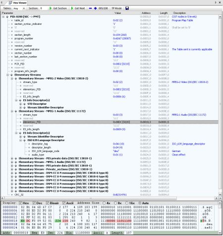 DVBAnalyzer: Hex Viewer - Section