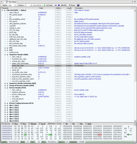 DVBAnalyzer: Hex Viewer - MPEG-2 Video